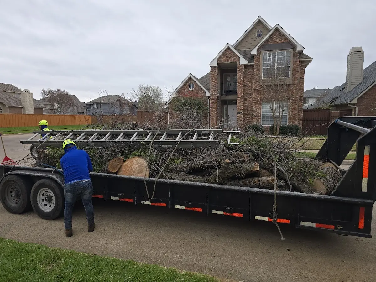 Expert Tree Pest Control with proper safety equipment in Washington